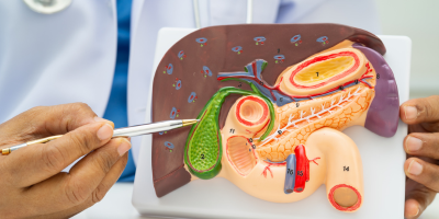 Gallbladder & Appendix Management